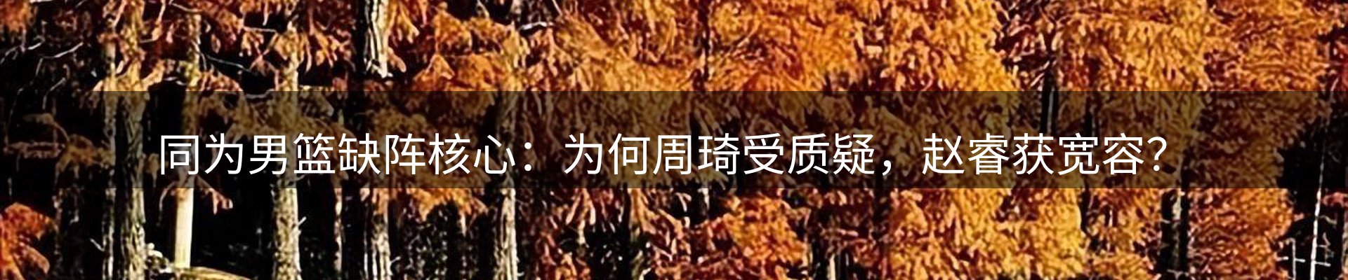 内页banner