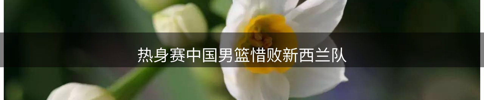 内页banner